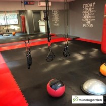 Tatami Puzzle EVA - Rojo/Azul (Reversible) de 1x1m de 4cm de espesor