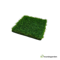 Césped Artificial Miami Premium, altura 50mm por Metros